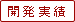開発実績