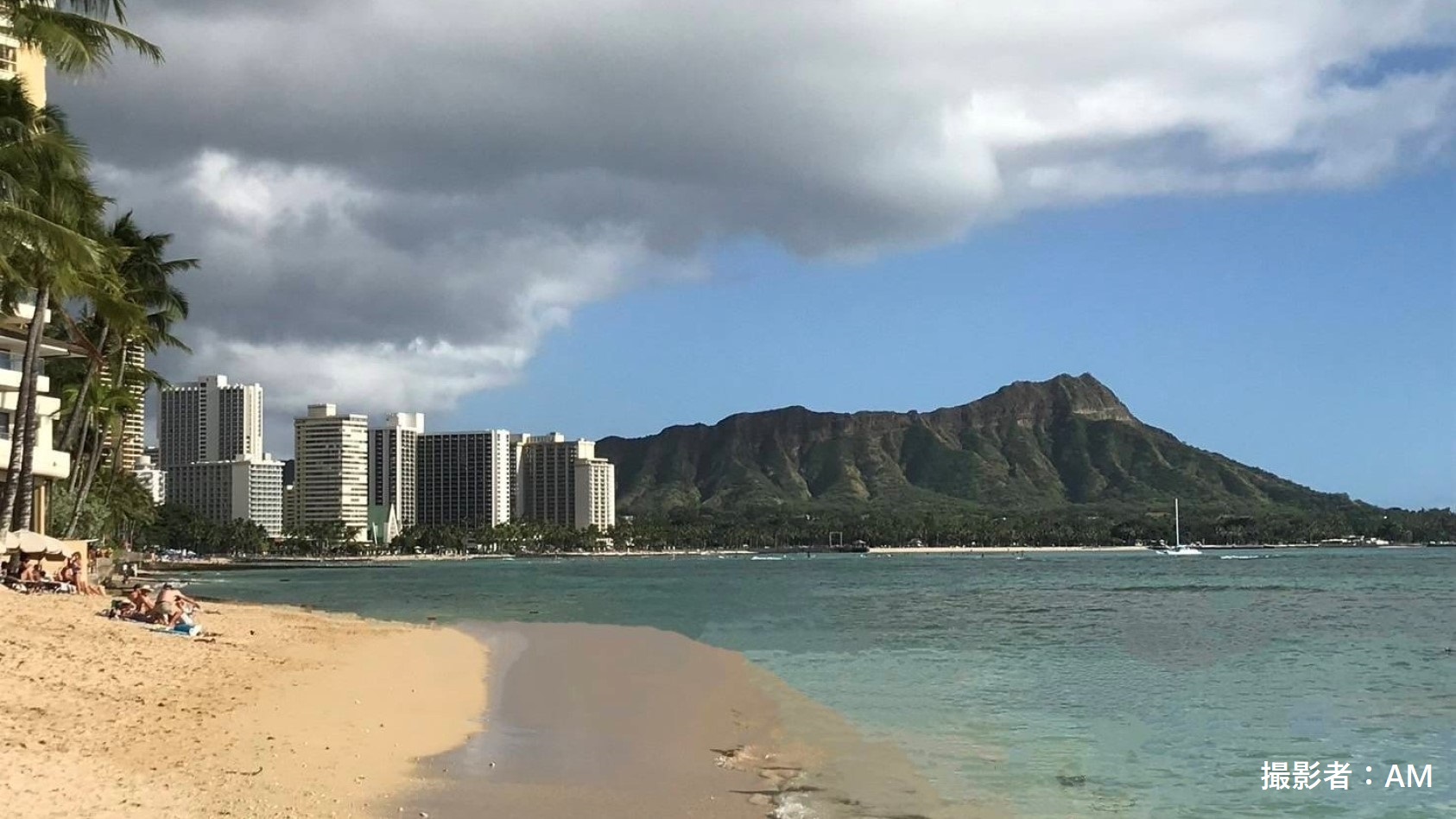 海