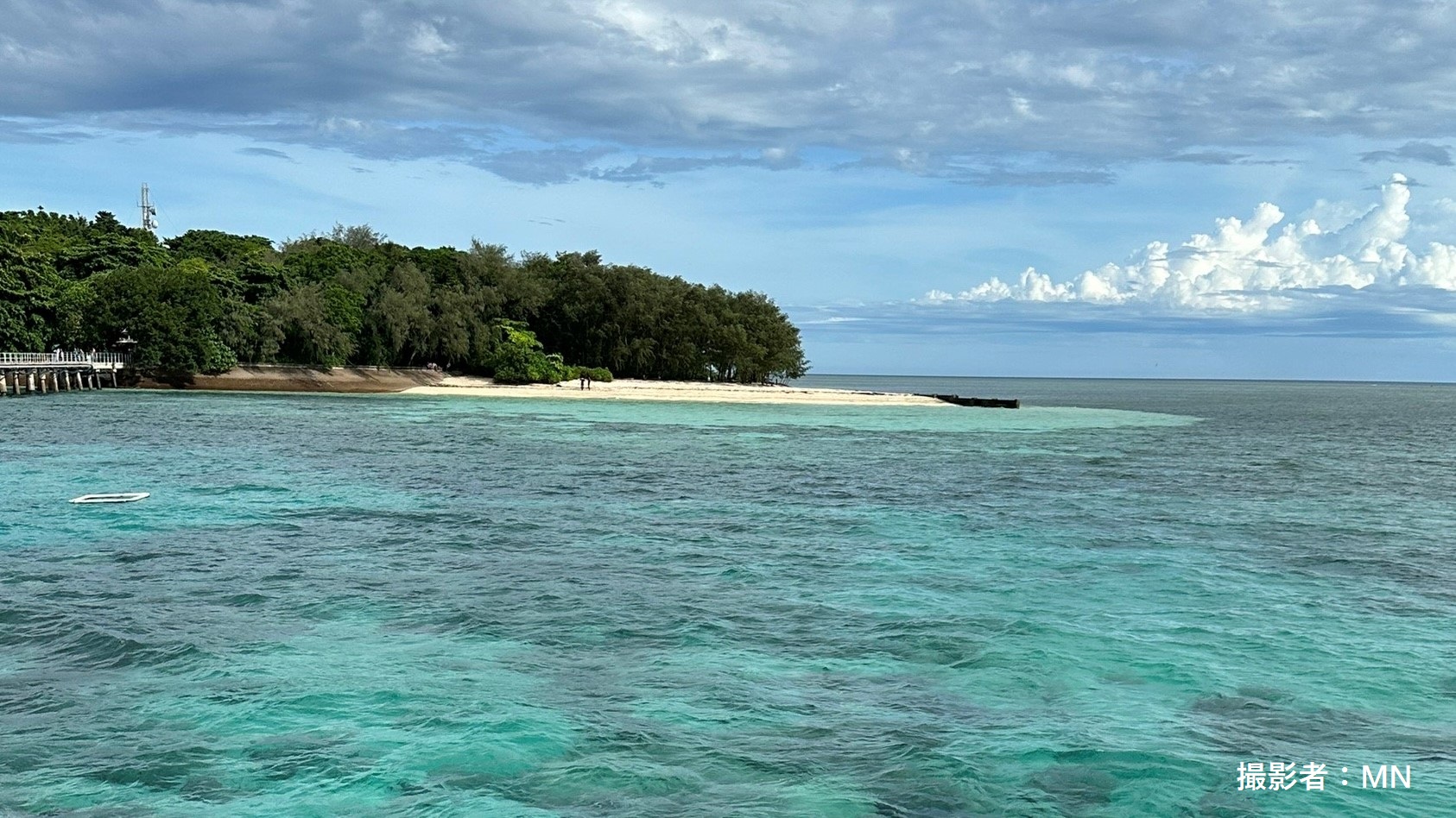 海